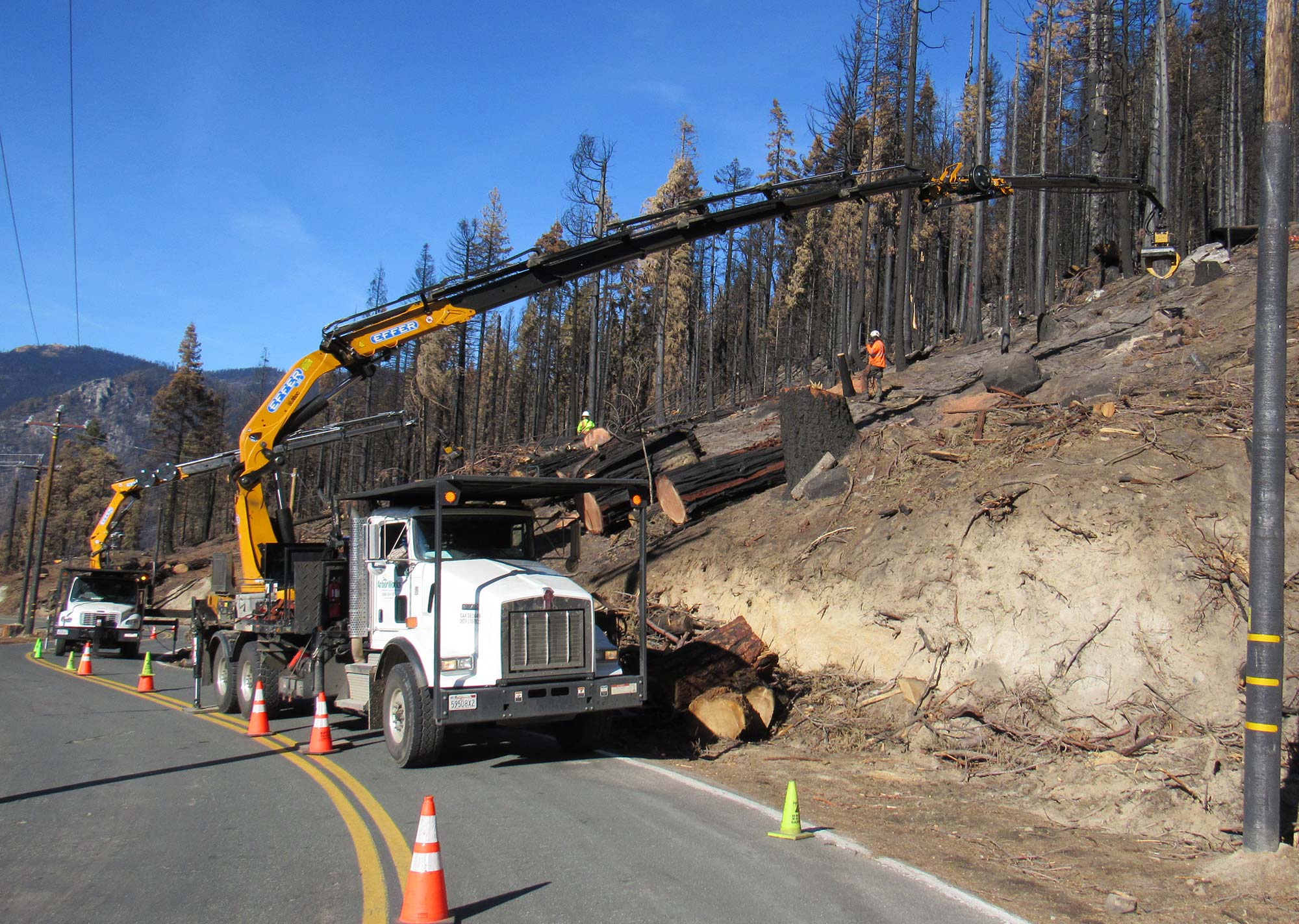 Wildland Fire Hazard Mitigation ArborWorks