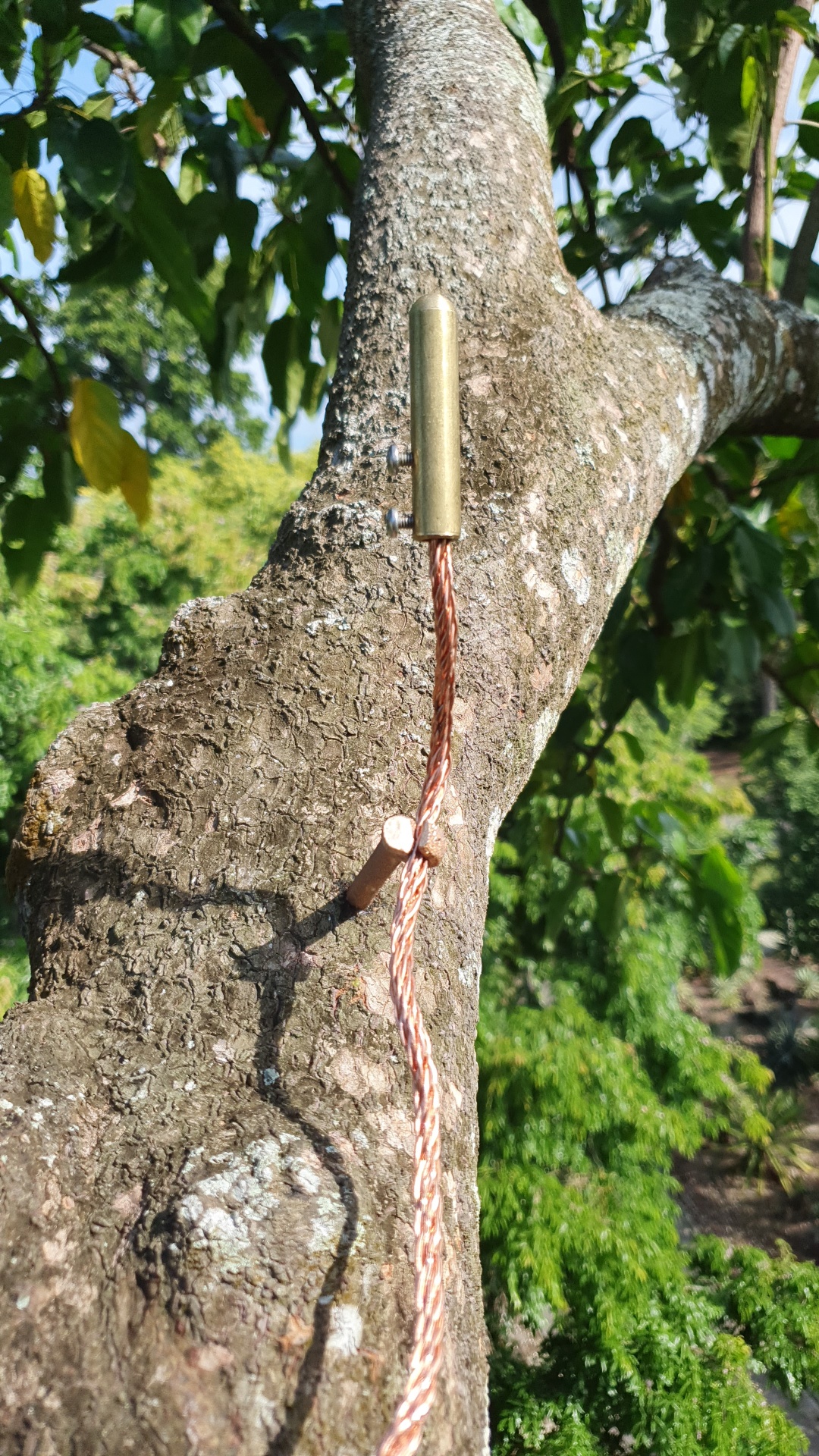 Lightning Protection System Installation and Inspection for Trees