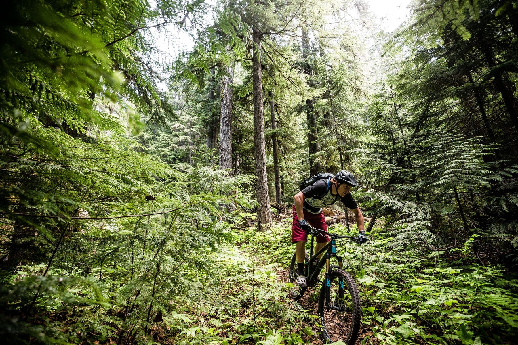 A Beginner’s Guide to Mountain Biking in Whistler Tales from the