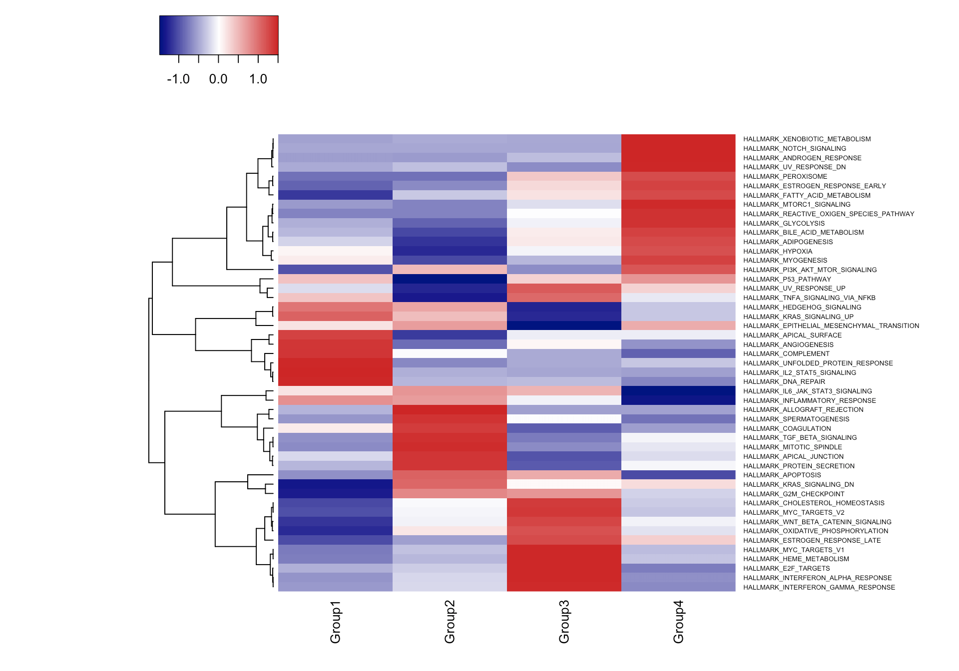 singleseqgset Singlecell RNAseq gene set enrichment analysis