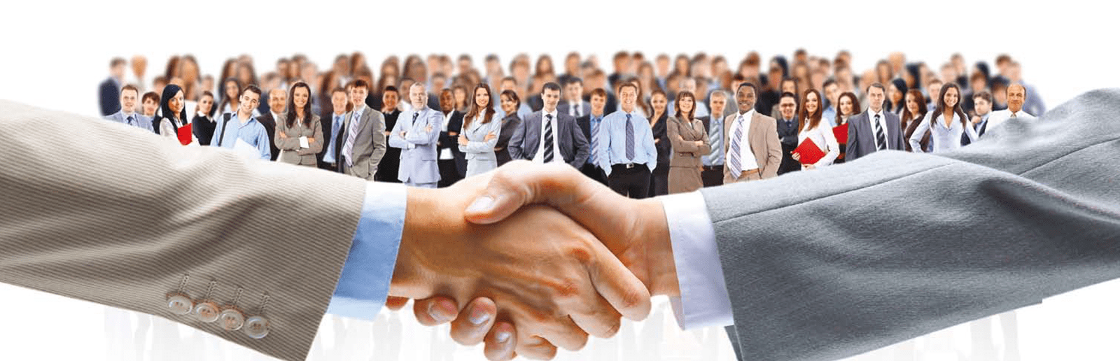 Arcadia Real estate group