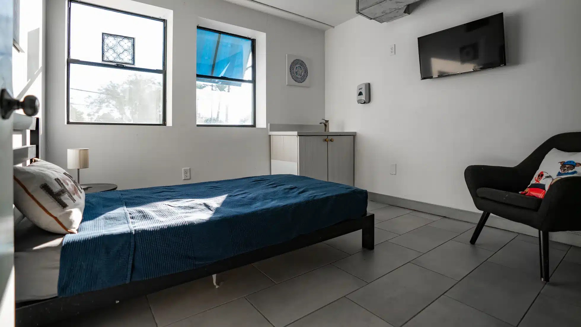 Dog Boarding Dog Hotel Pet Resort DPet Hotels Arcadia, AZ