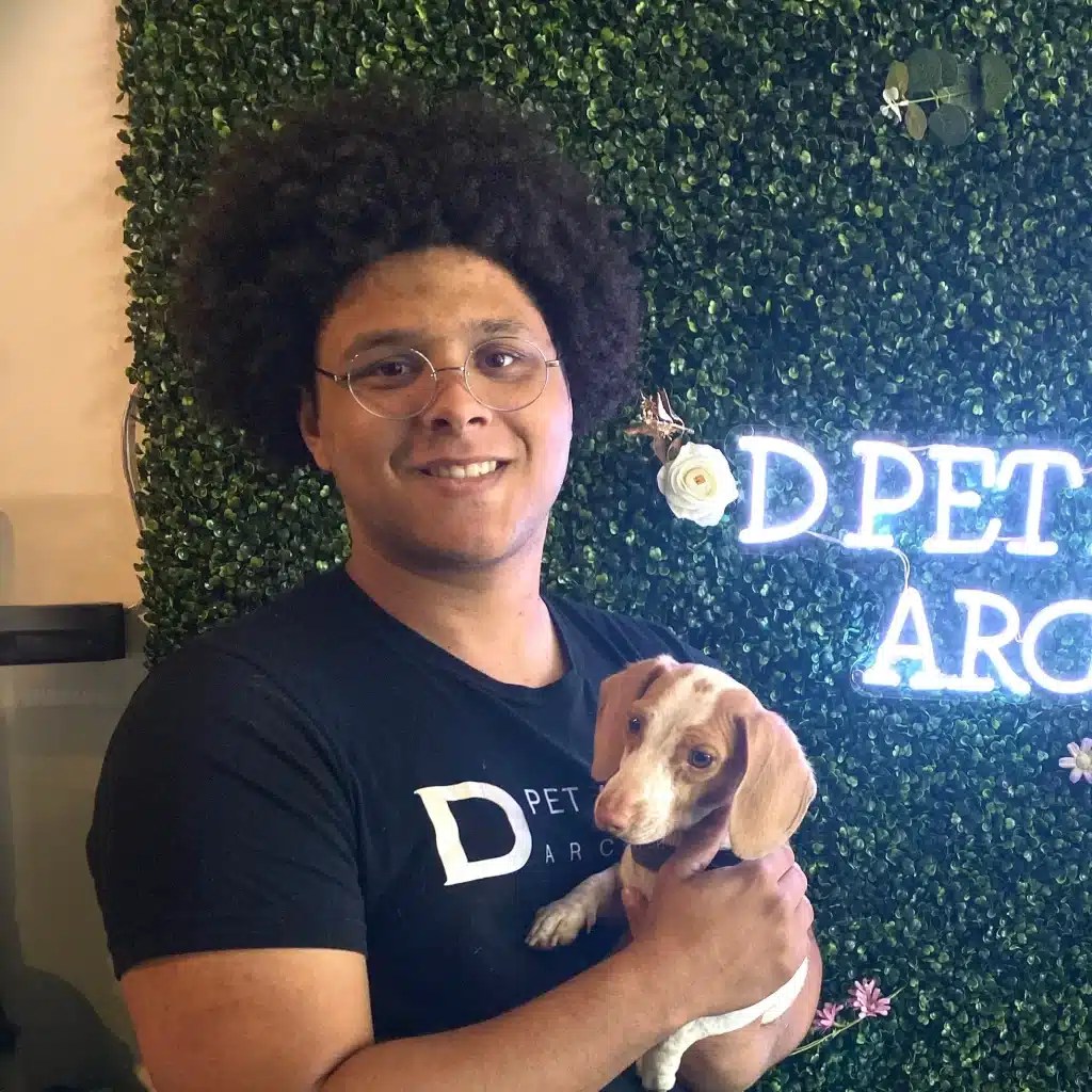 Meet Our Staff Dog Groomers, Trainers DPets Hotels Arcadia, AZ