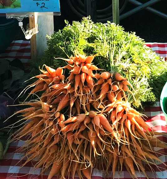 Farmers’ Market Favorites Arcadia Peninsula