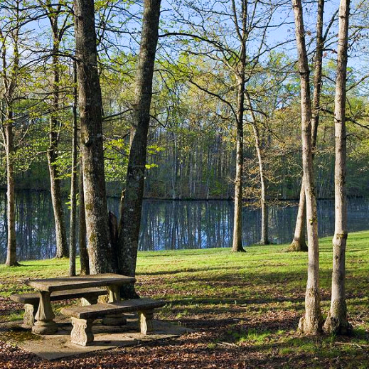 The Thrill of the Hunt Arcadia Peninsula