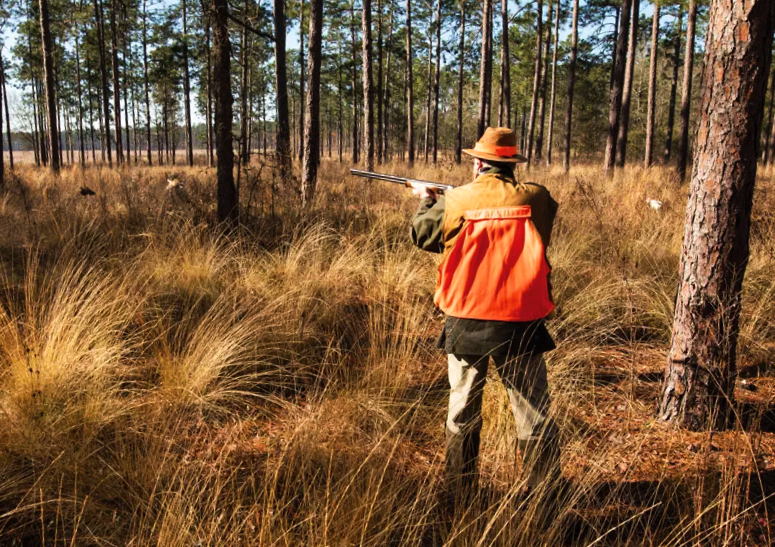 The Thrill of the Hunt Arcadia Peninsula