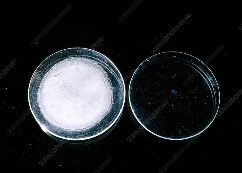 تست باقیمانده تبخیر یا Residue on Evaporation (ROE) آزمایشگاه کنترل