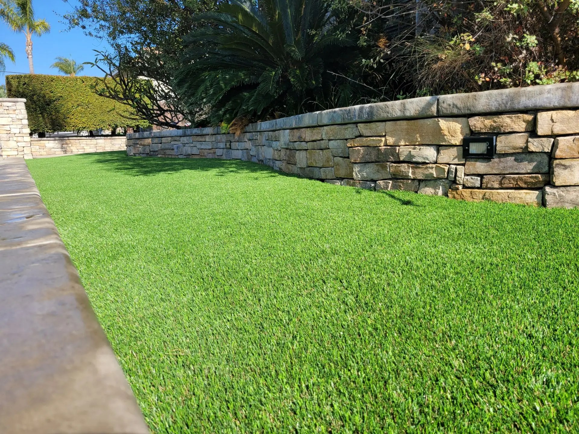 Artificial Turf San Diego ARC Design Landscape