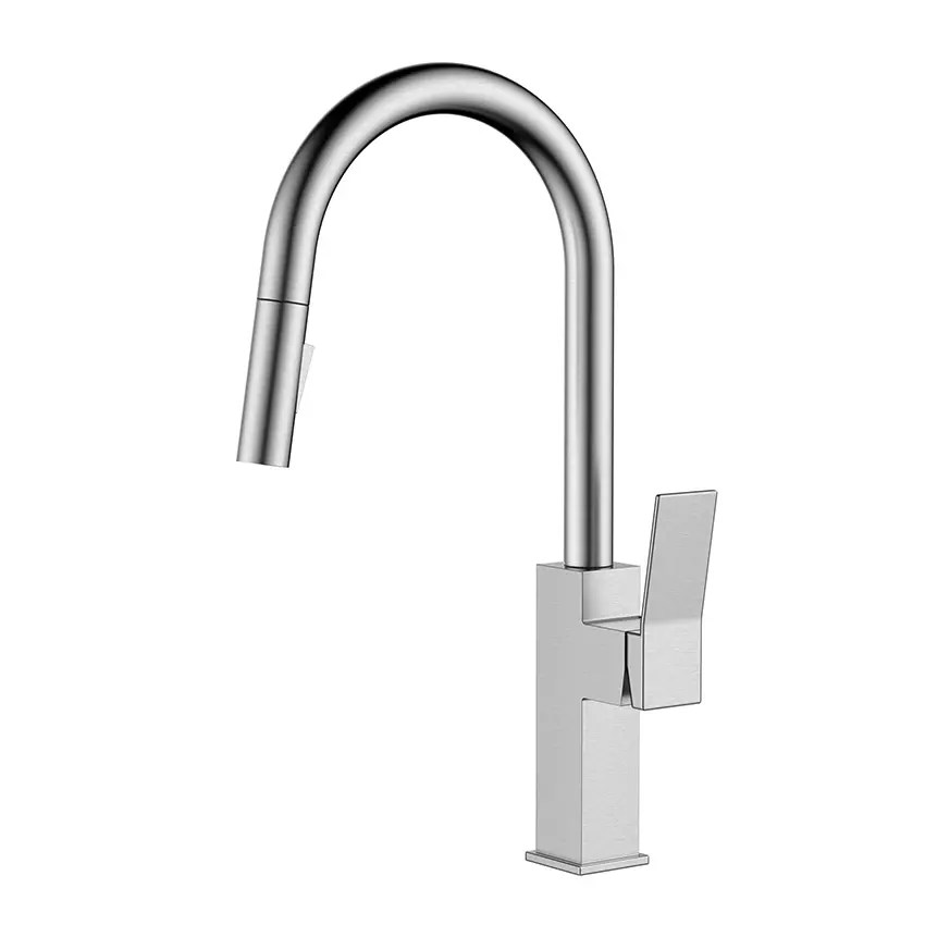 Satin Stainless Steel Kitchen Tap with Pull Out Spray Arc Fictures