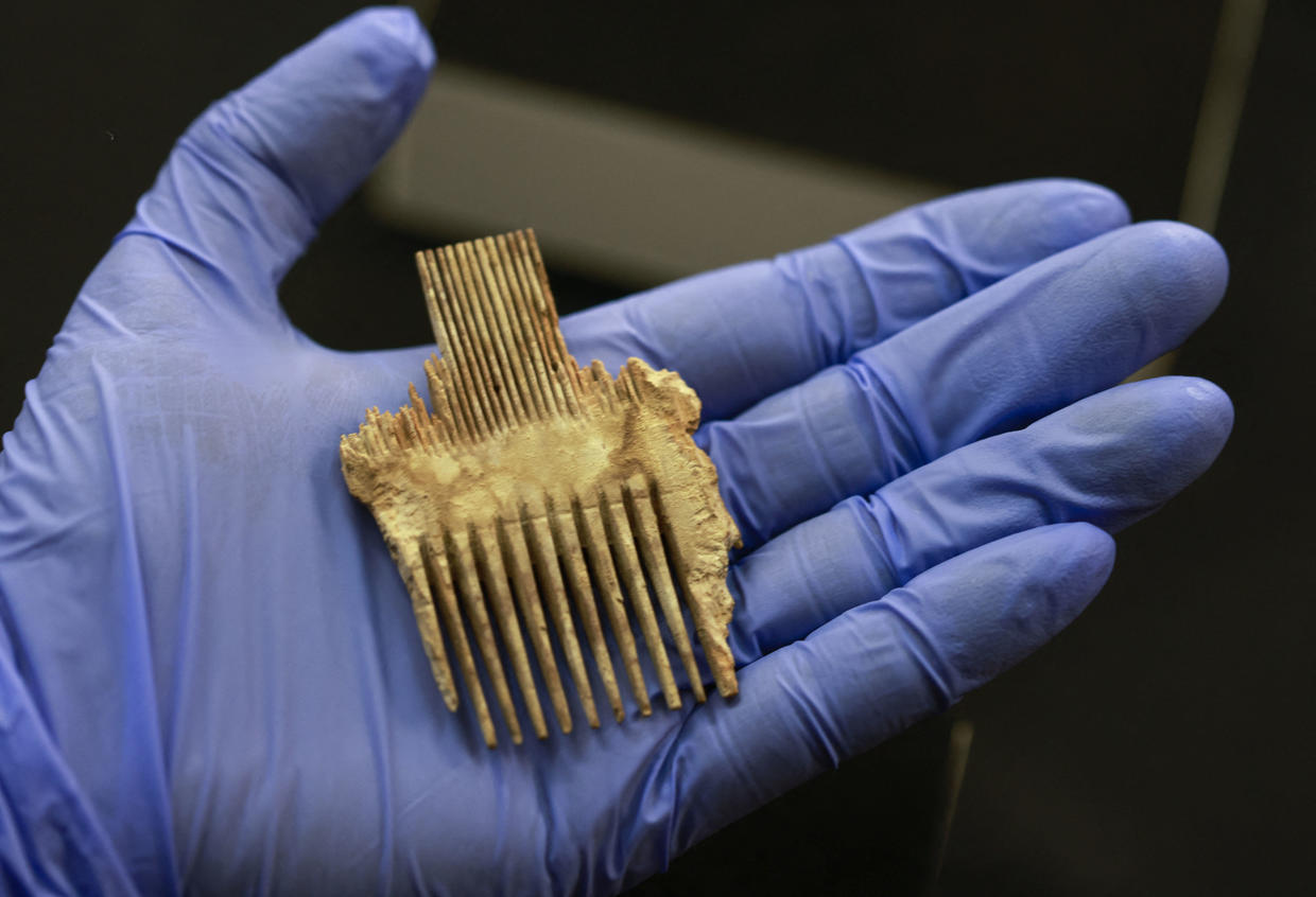 comb ARCHAEOLOGY WORLD