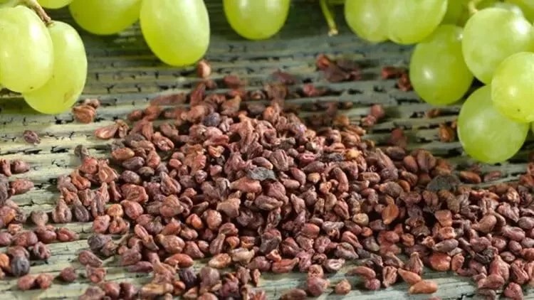 White grape pips found in the Negev dated may be the oldest of its kind worldwide