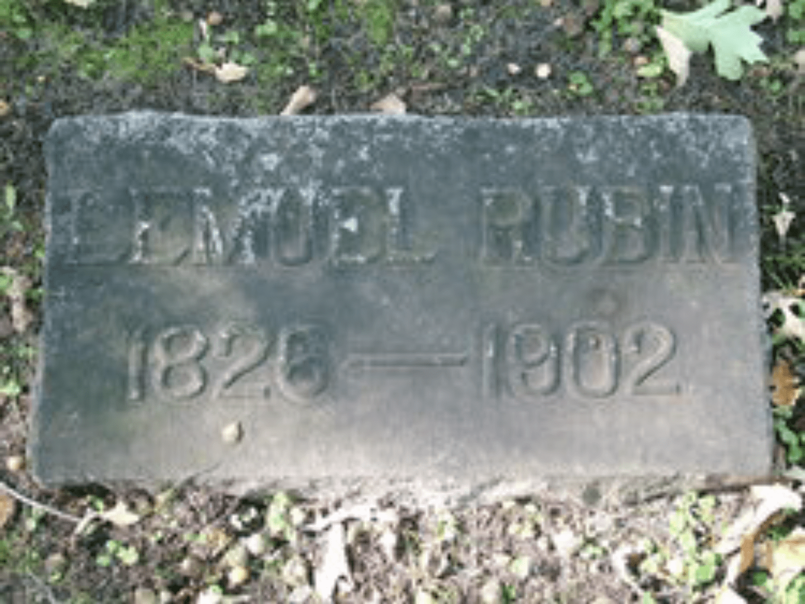 Groveland Cemetery Archaeology in the Cowling Arboretum