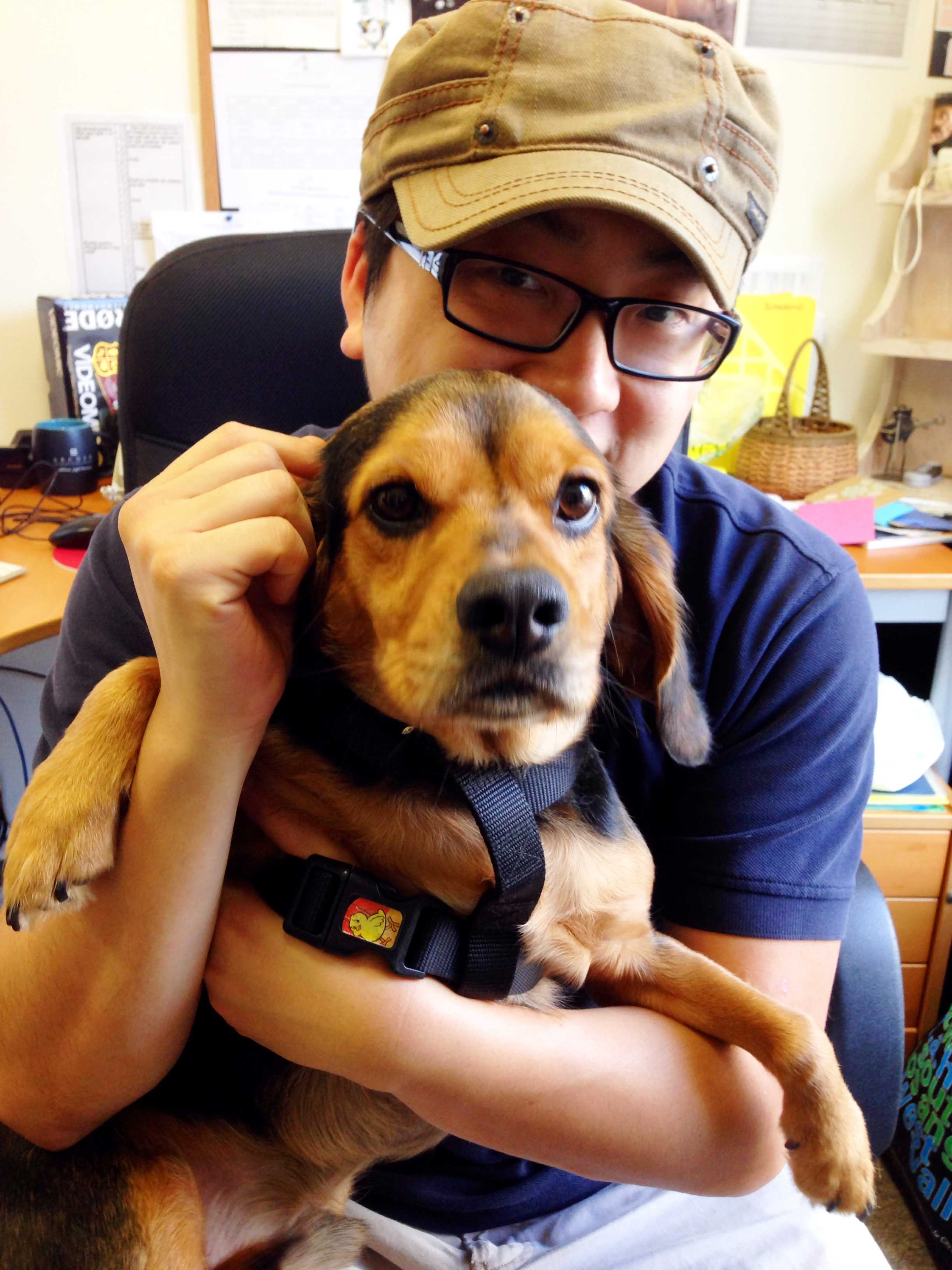 Photo Gallery The Dogs of Archer The Oracle