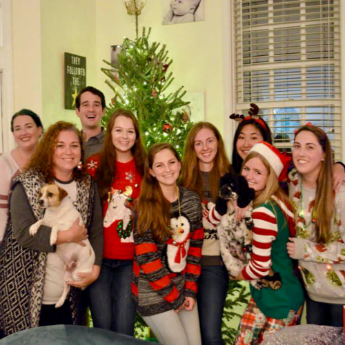 Archer Road Pet Resort Where Pets Go to Get Away!