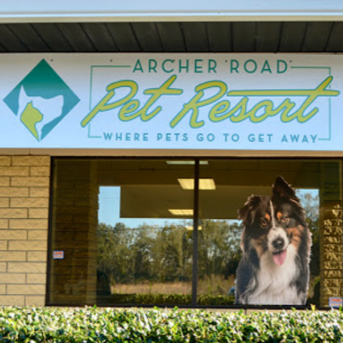 Archer Road Pet Resort Where Pets Go to Get Away!
