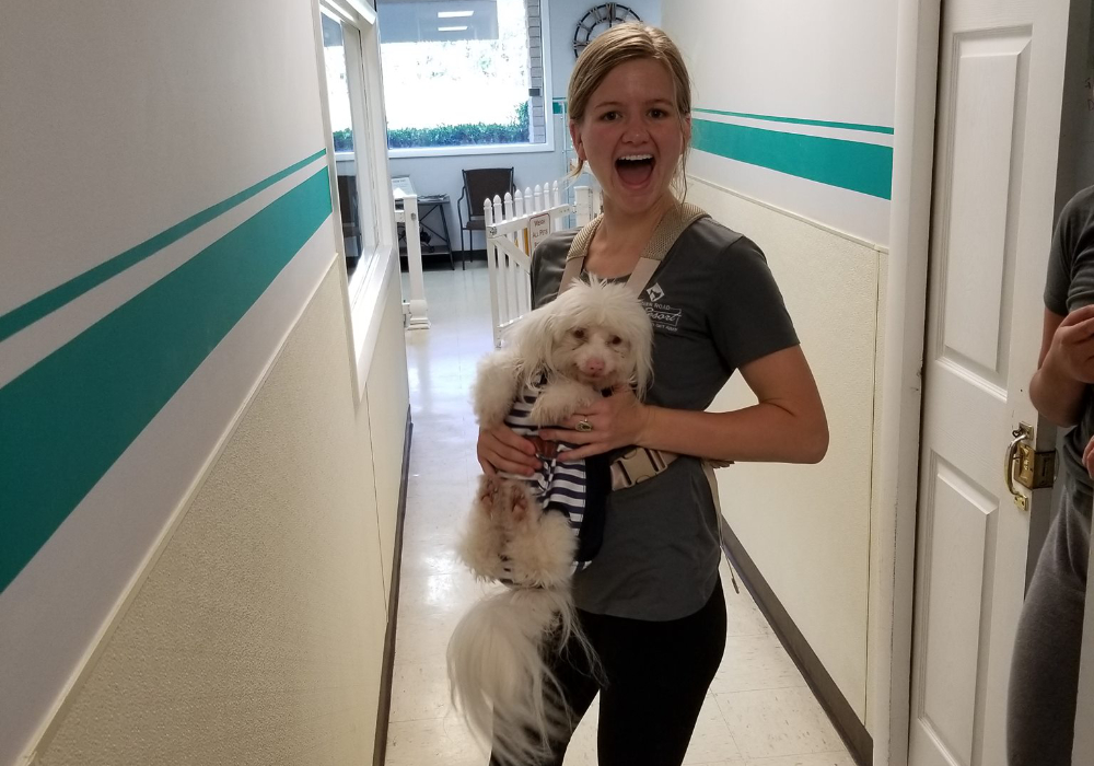 Gallery Archer Road Pet Resort Where Pets Go to Get Away! FL