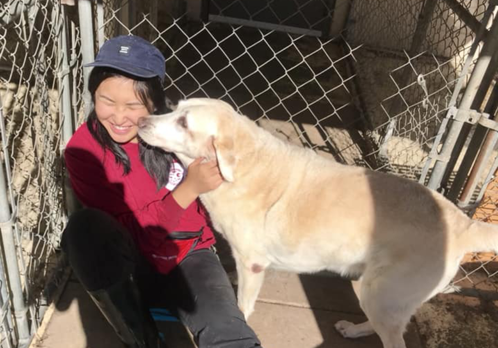 Gallery Archer Road Pet Resort Where Pets Go to Get Away! FL