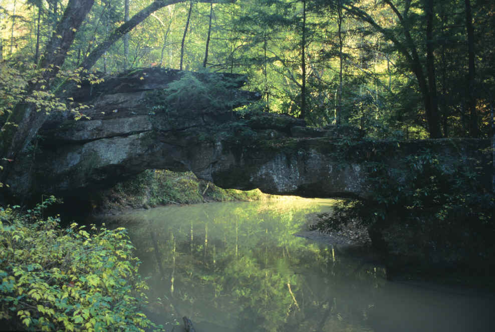 Kentucky Arches and Bridges