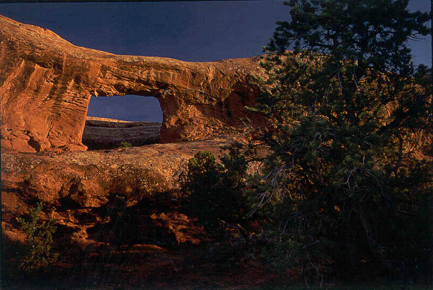 Arches around Moab, Utah