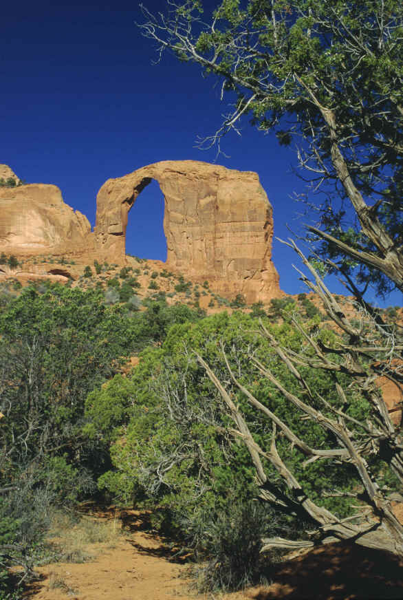 The View from Royal Arch p.1