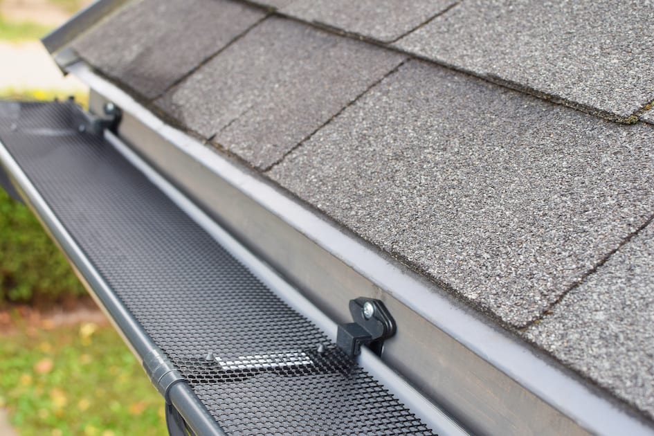 How To Keep Birds Out Of Gutters (3 Simple Tips)