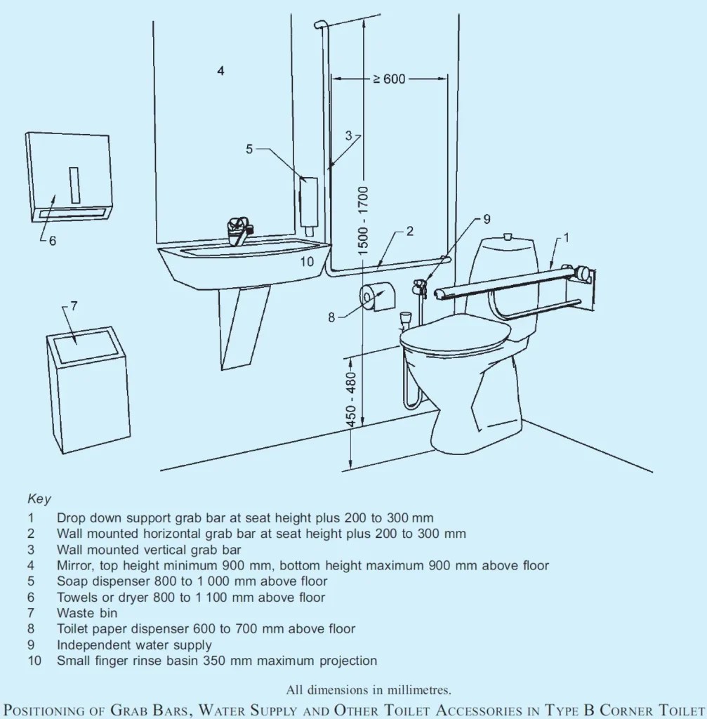 Paraplegic Toilet Grab Rails Amazing Selection