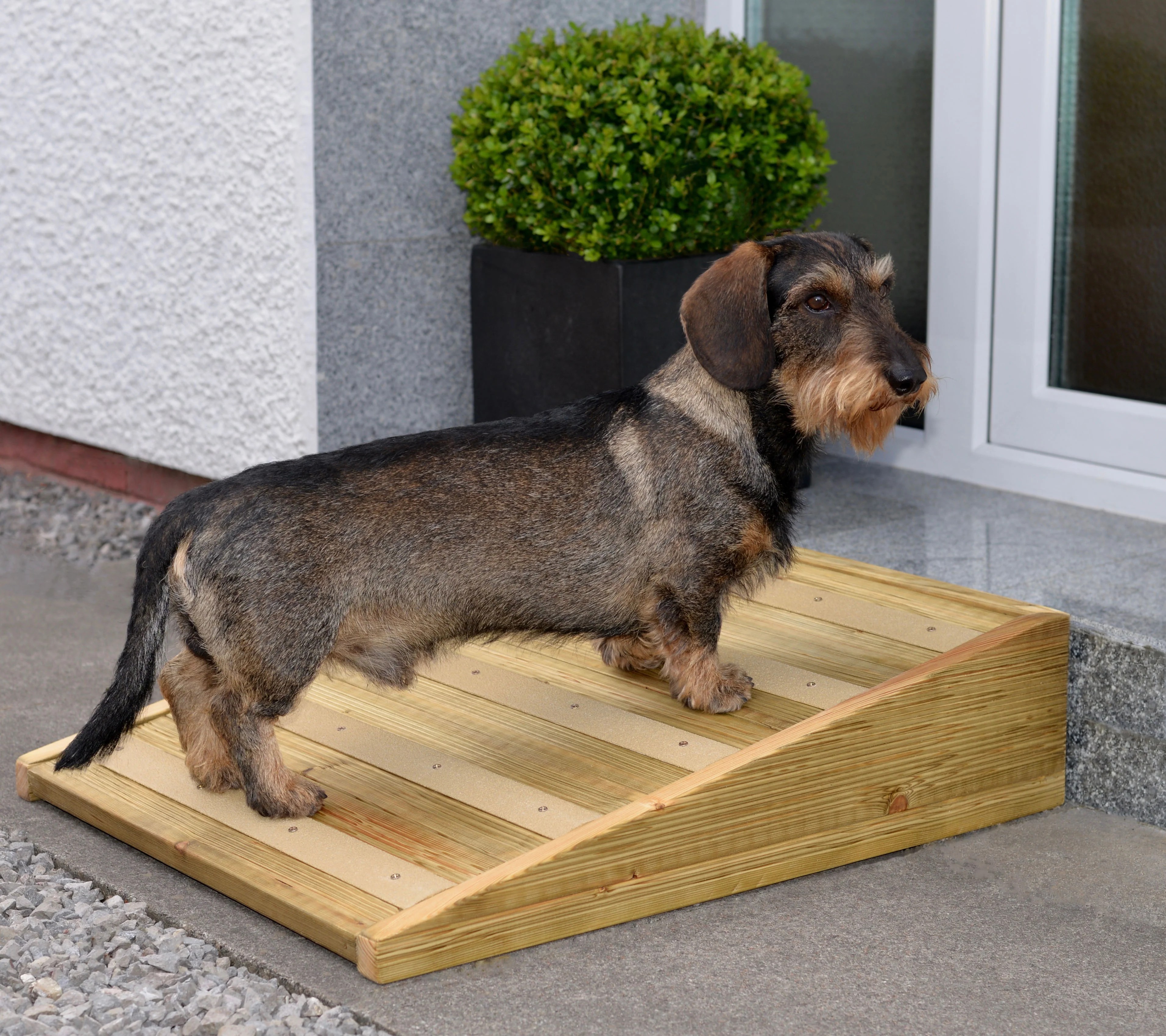 Outdoor Pet Ramp Archie's Pet Ramps & Steps