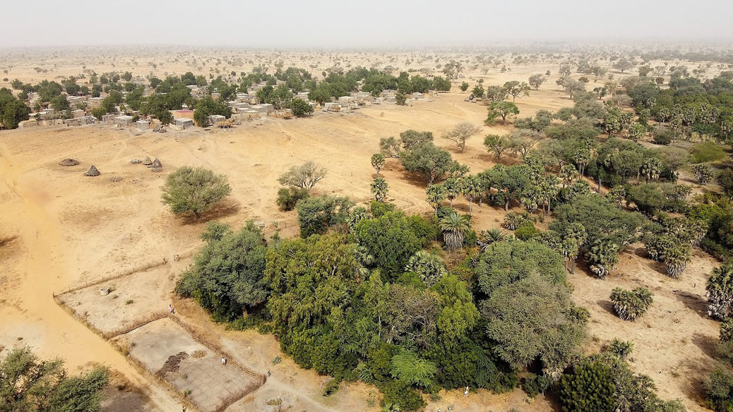 The Great Green Wall