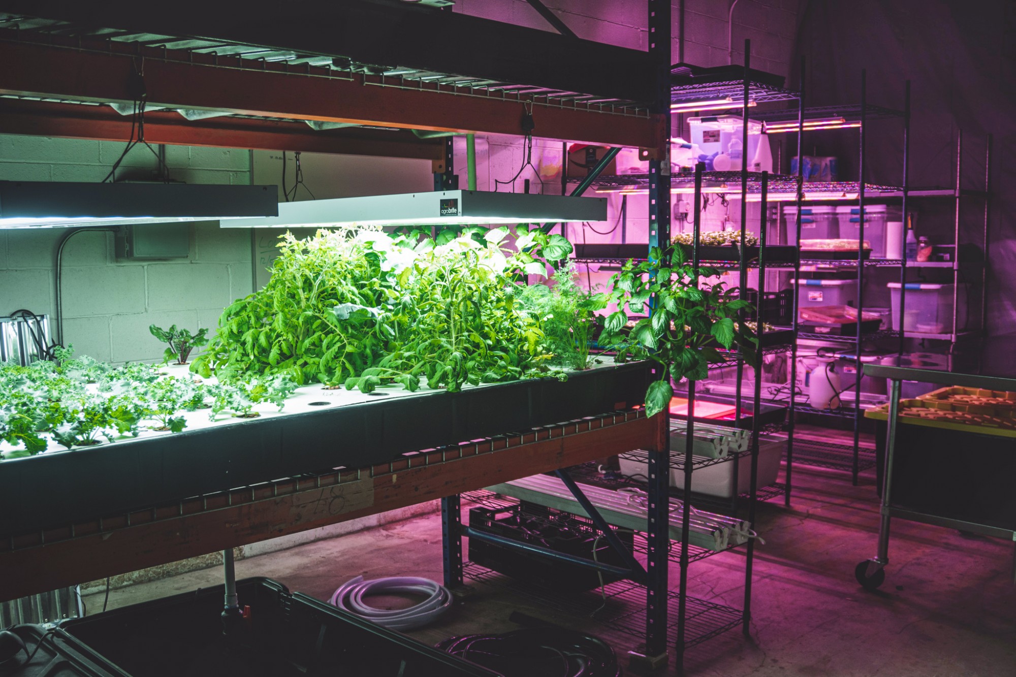 Plant Chicago · Sites · Open House Chicago