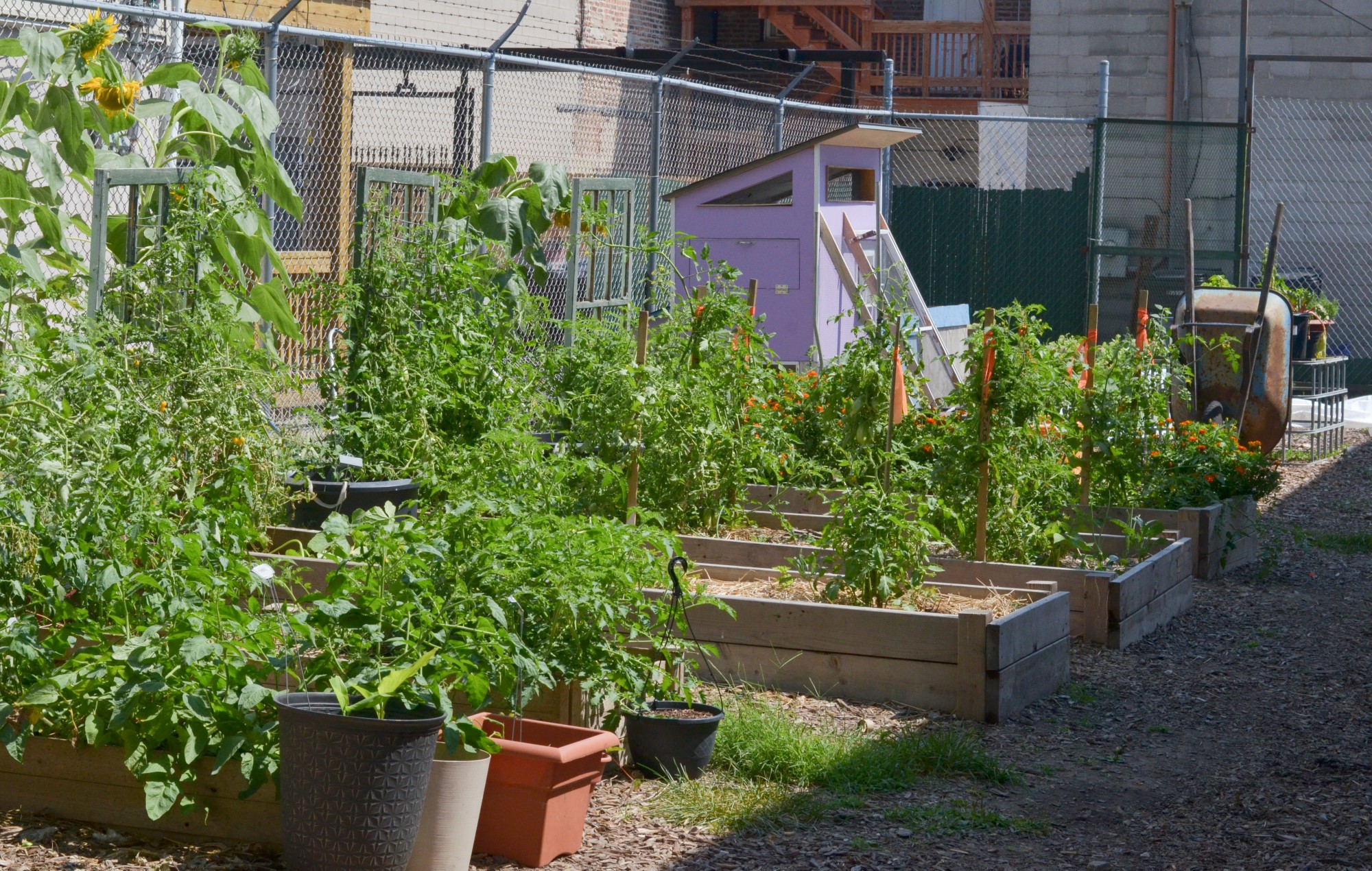 Plant Chicago · Sites · Open House Chicago