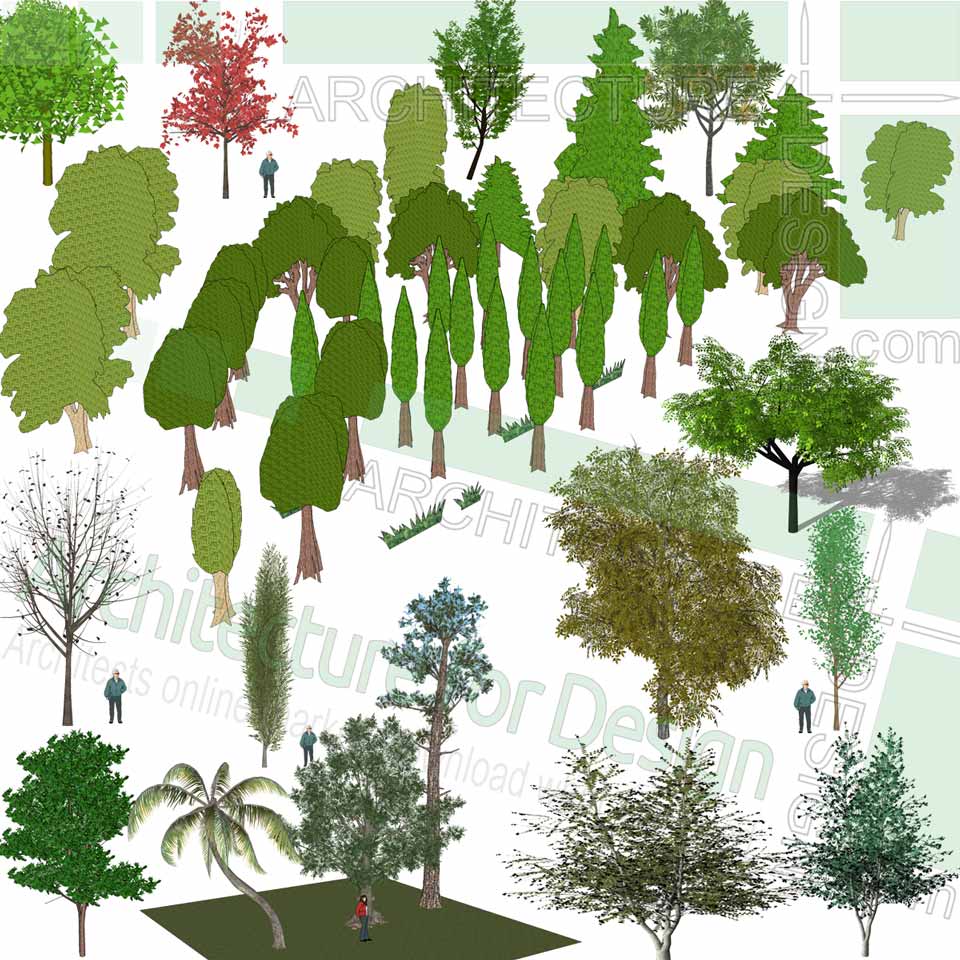 Trees, shrubs and flowering plants Sketchup models, Free Trees, shrubs and flowering plants Sketchup models, Free