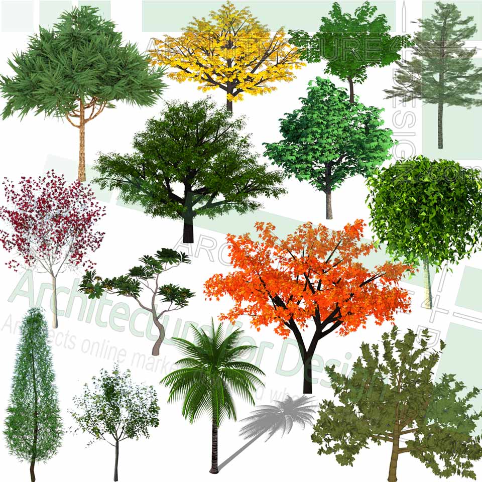 Trees, shrubs and flowering plants Sketchup models, Free Trees, shrubs and flowering plants Sketchup models, Free