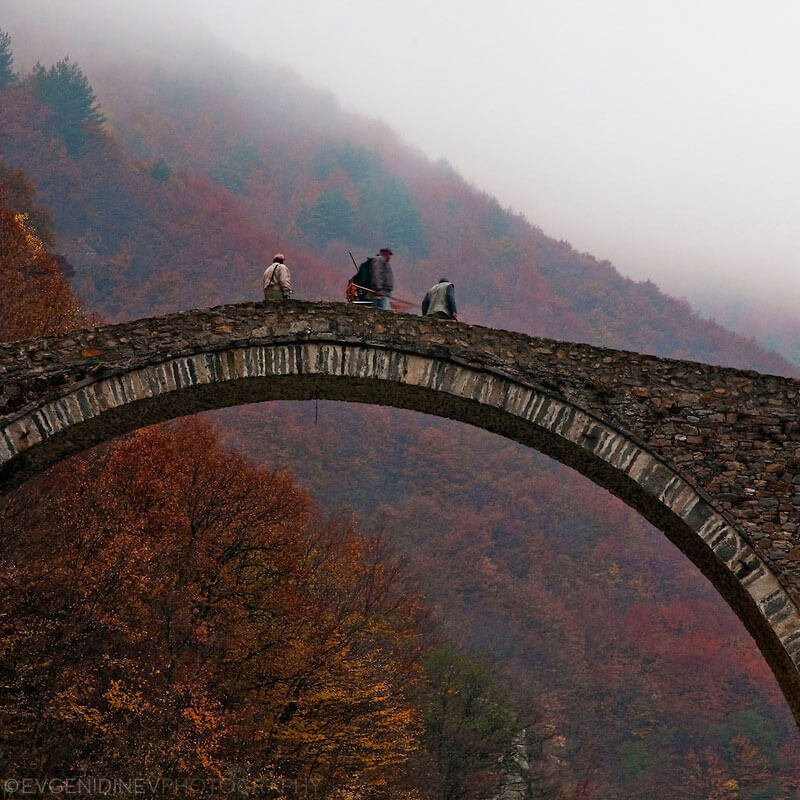 15 World’s Most Impressive Bridges That Will Leave You Speechless