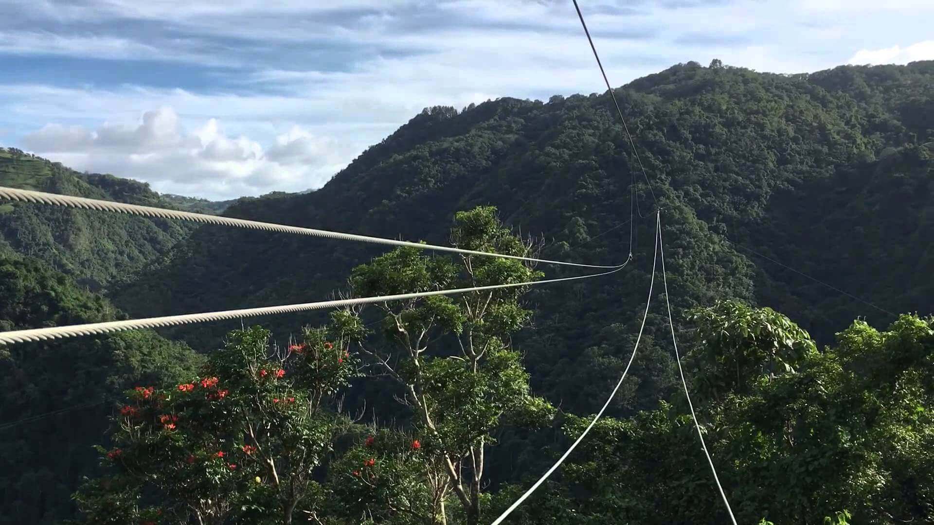 World's Best Ziplines In Puerto Rico Island, USA Only For Adventurous