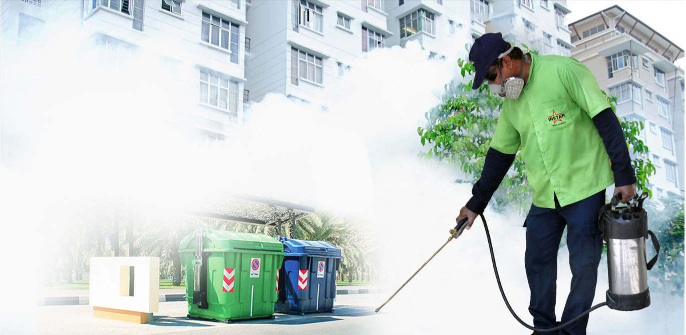 Importance of Pest Control and Why It’s Best to Opt for