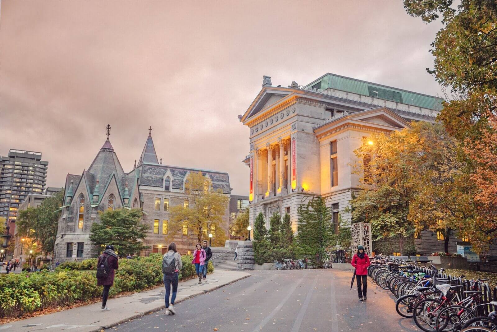 The Top Universities In Canada 2019 The Top Universities In Canada 2019
