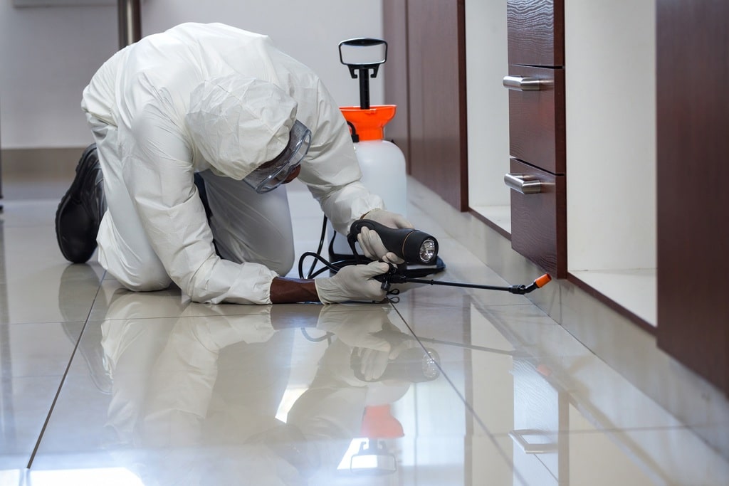 4 Tips On Choosing A Pest Control Company In Long Island