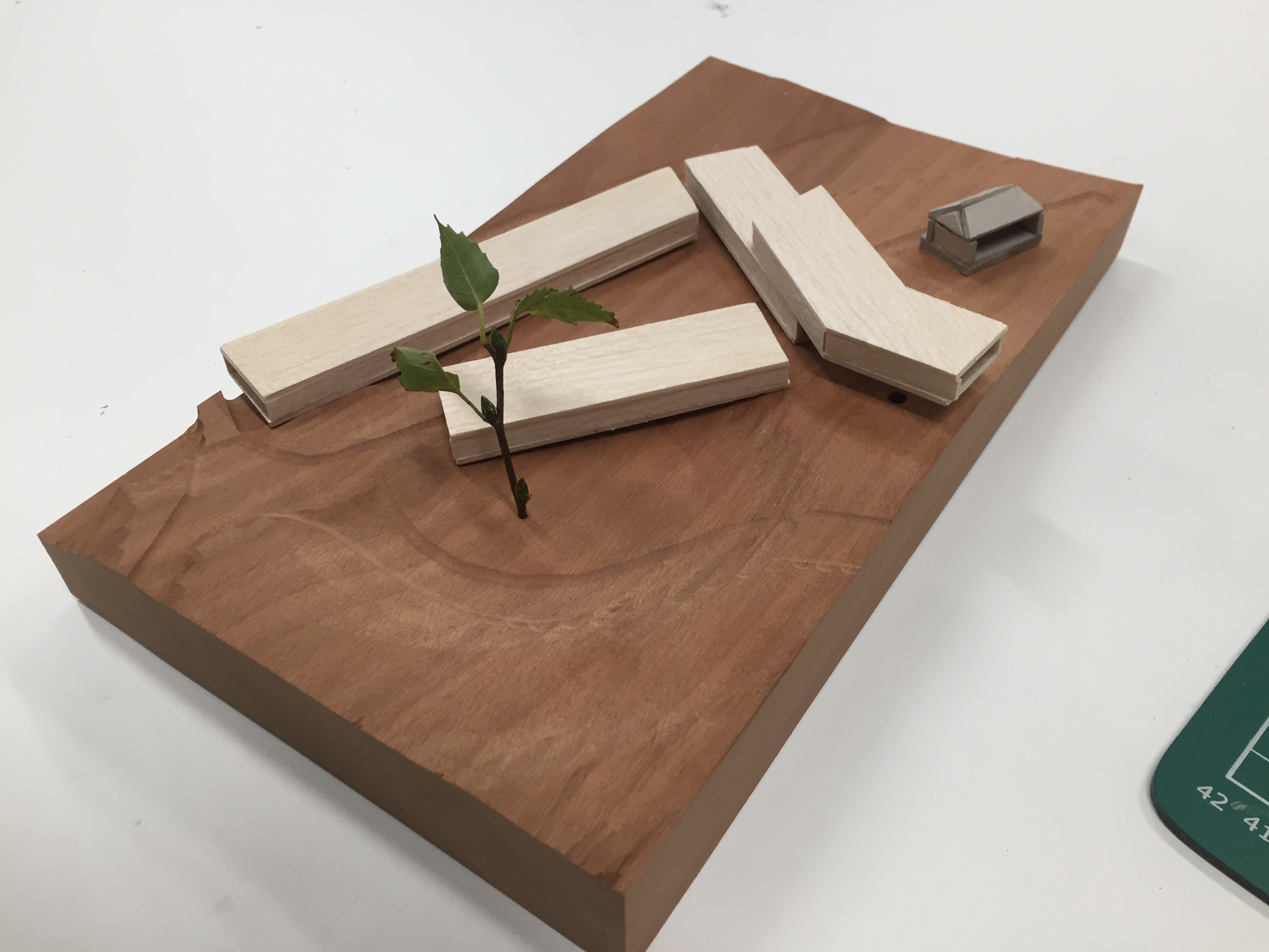 Diagramatic site model – Architecture student Lewis