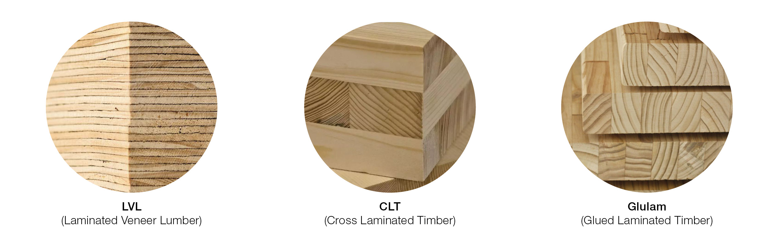 Engineered Timber Types_ Architectus New Zealand