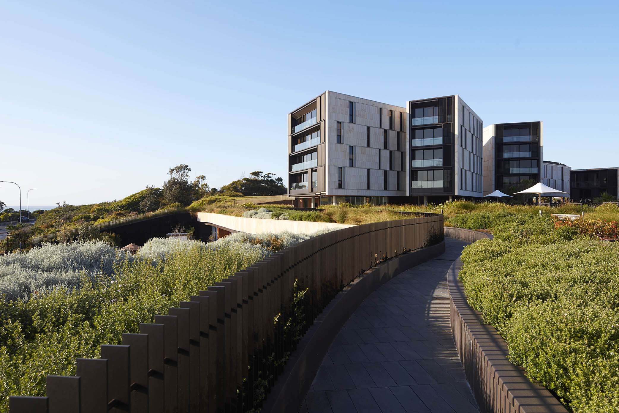 Harbord Diggers at WAF 2021 News Architectus