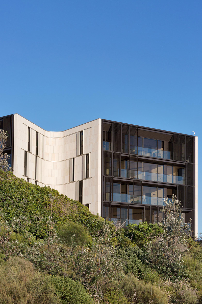 Harbord Diggers at WAF 2021 News Architectus