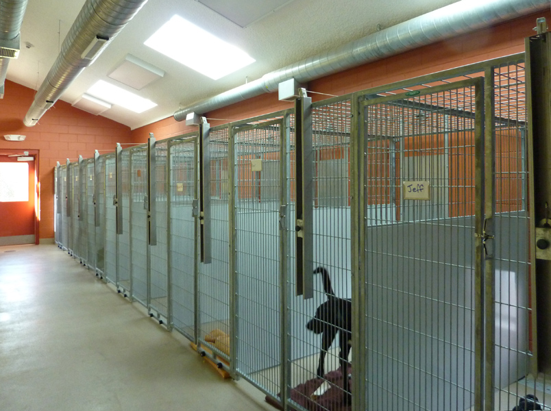 Southold Animal Shelter Architizer