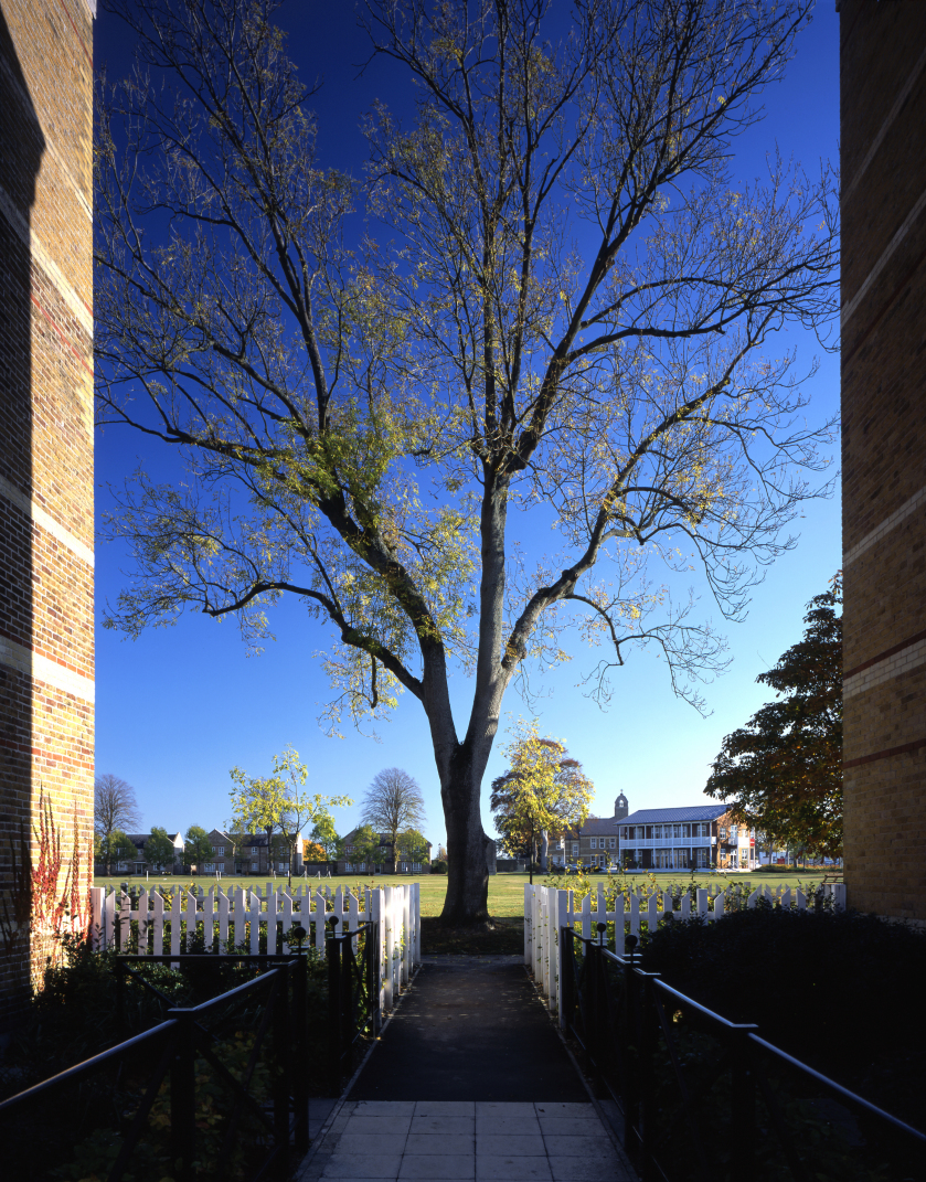Caterham Barracks by John Thompson & Partners Architizer