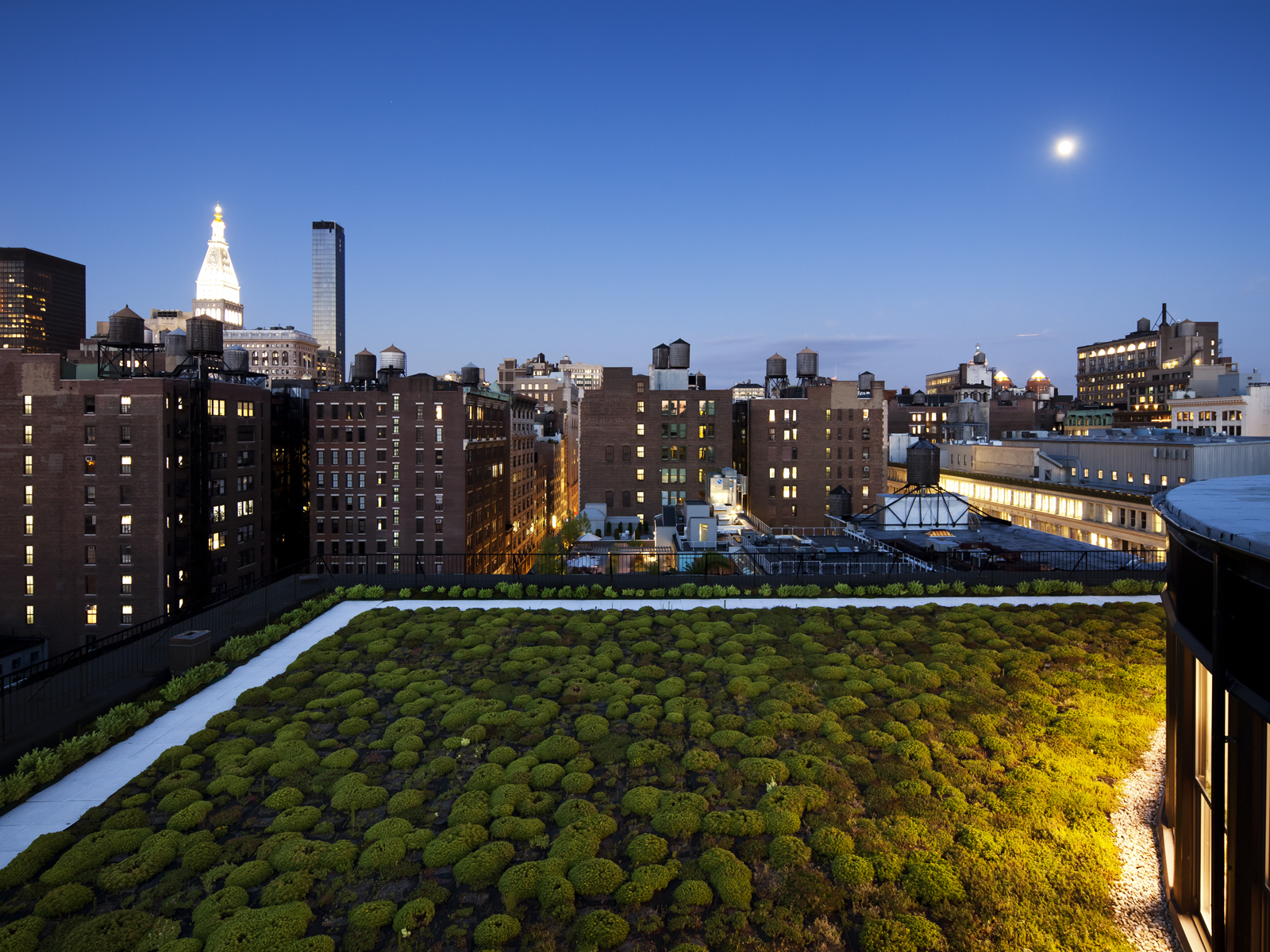 GREEN ROOF CASE STUDY Architizer