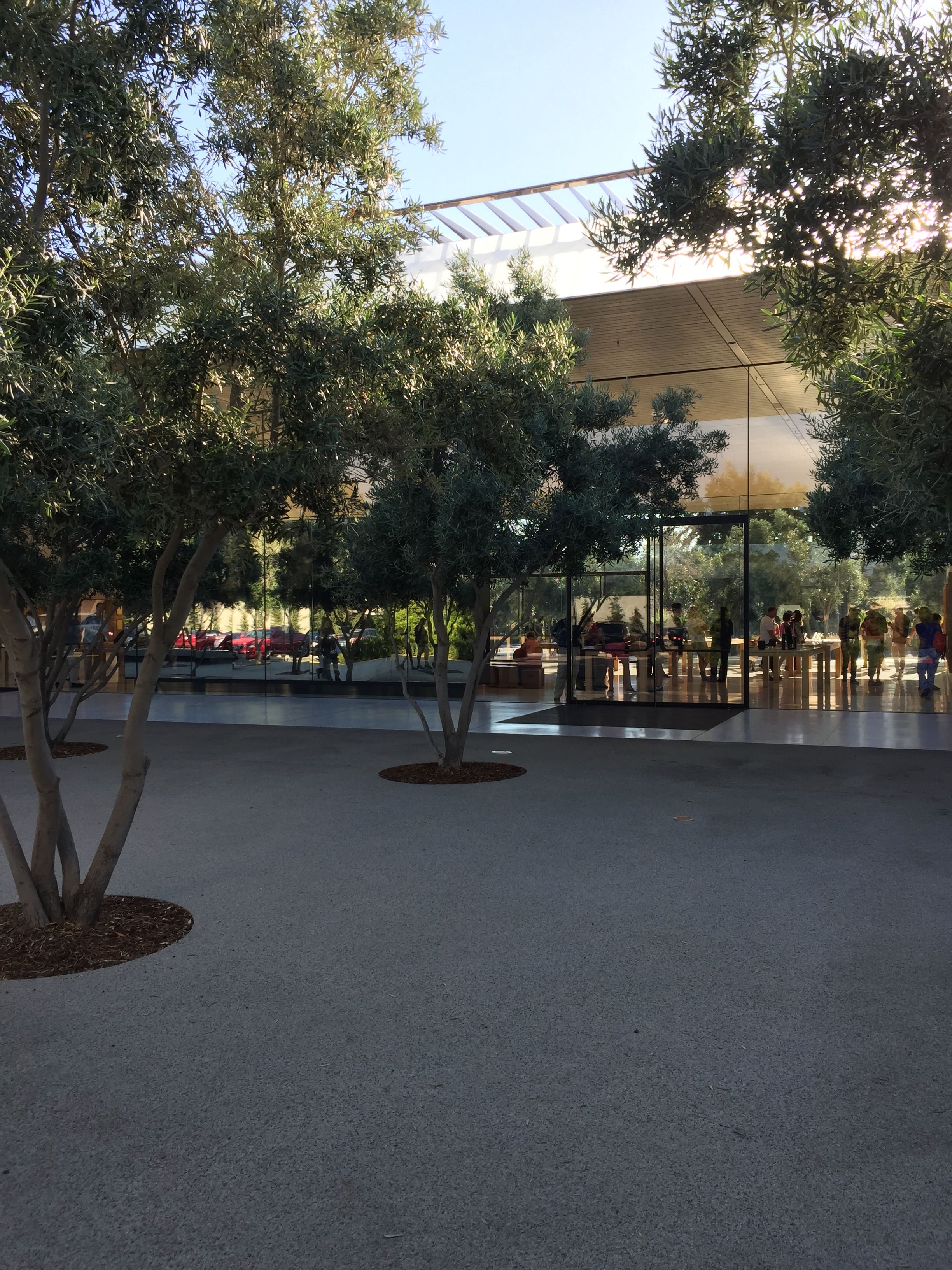 Visiting Apple Park—The Visitor Center Pavilion