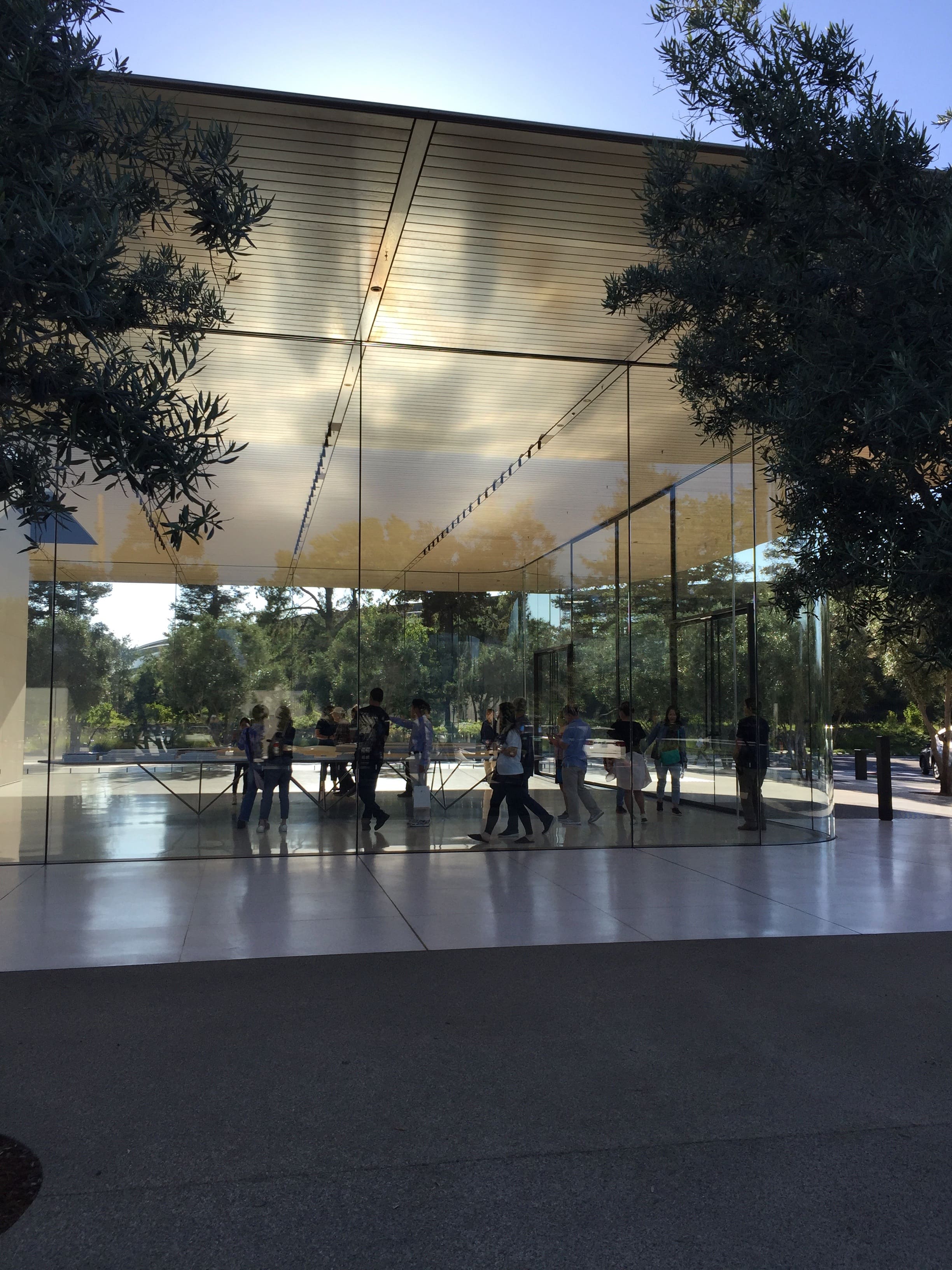 Visiting Apple Park—The Visitor Center Pavilion