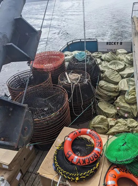 Lightweight, collapsible “CodCoil” black cod pots can barely keep up