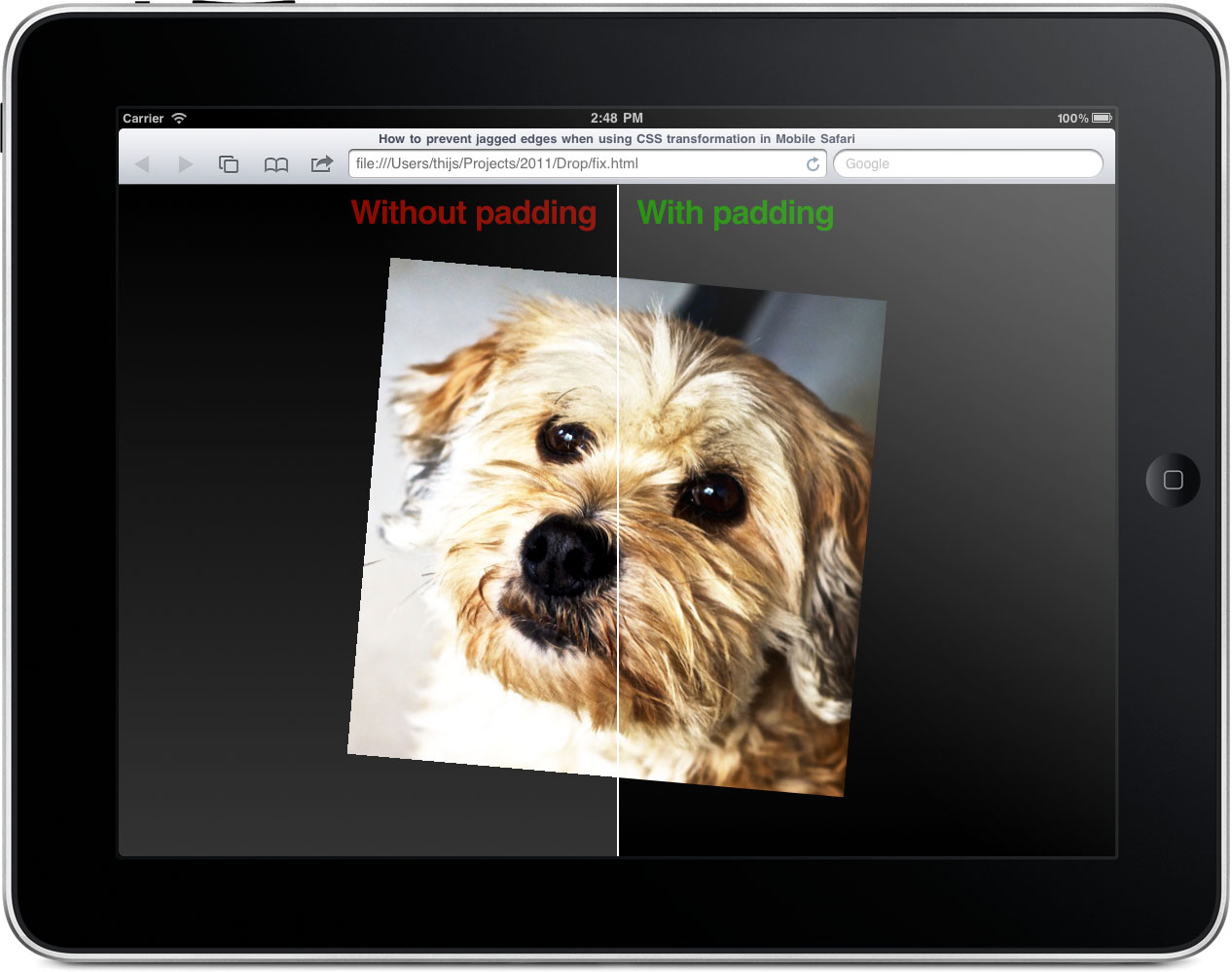 How to prevent jagged edges when using CSS transformations in Mobile Safari