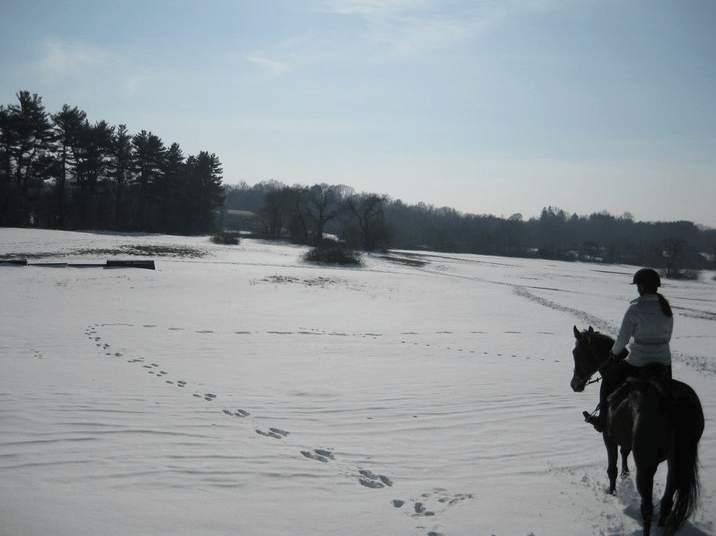 Winter Horseback Riding Fun Long Island Press