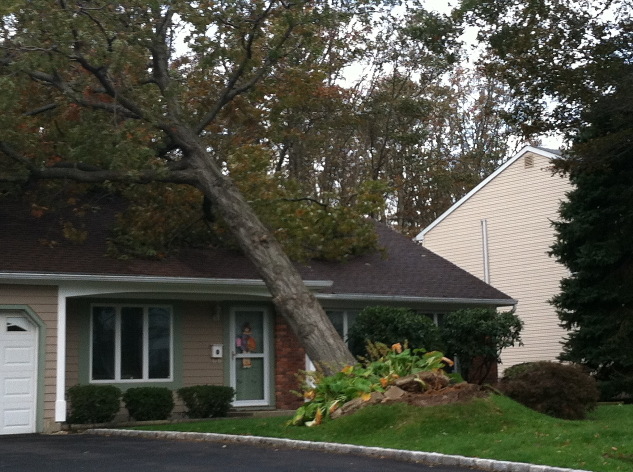 Where Can I Drop Off Tree Debris, Garbage on Long Island? Long Island